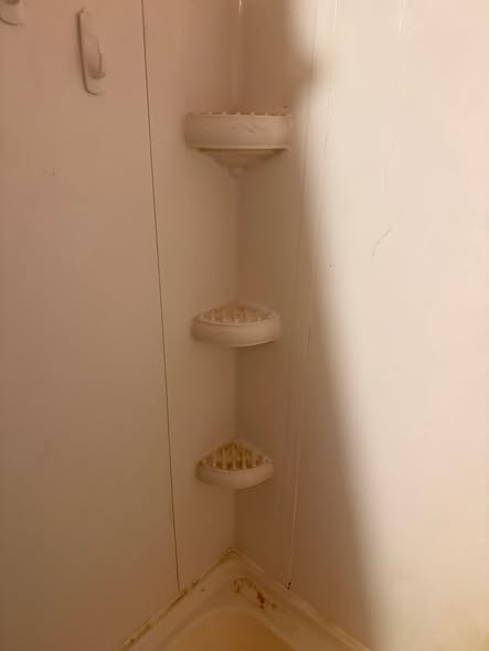 Shower corner before cleaning by The Clean Nest